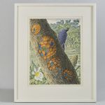 1434 2157 LITOGRAPH IN C..